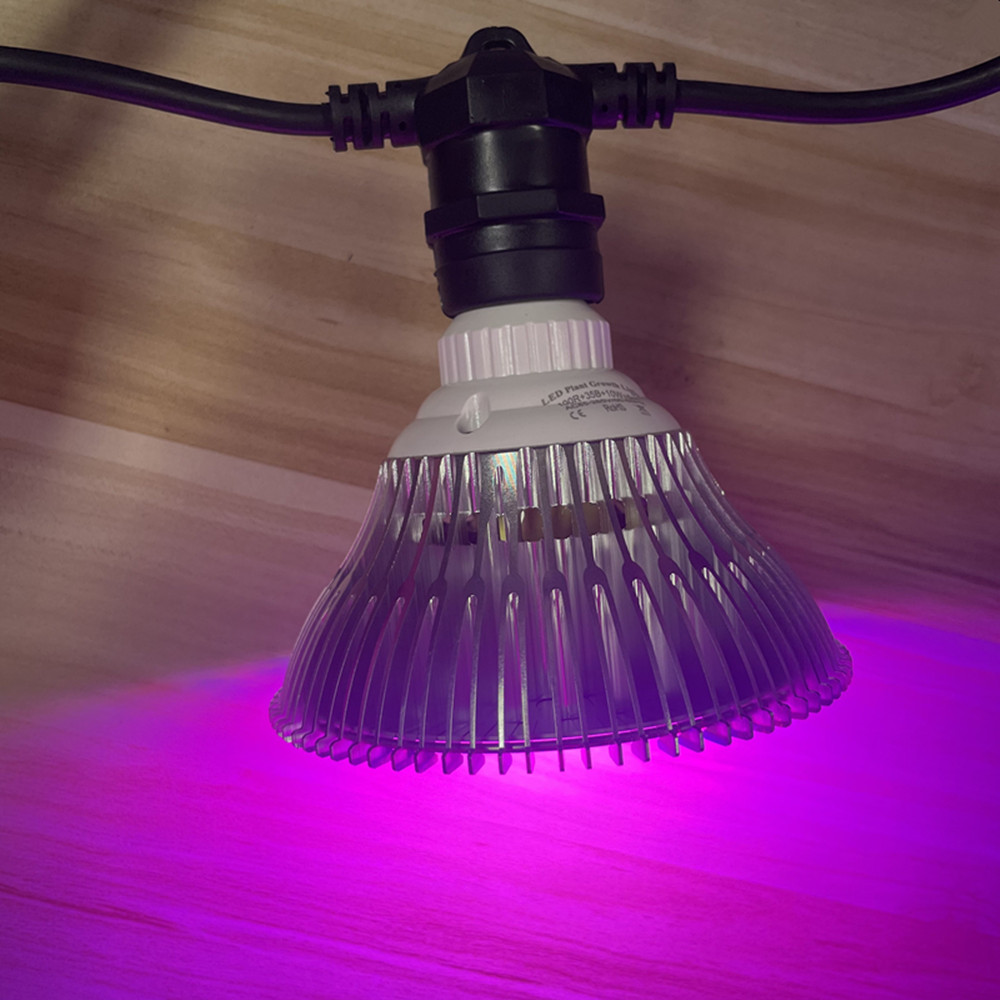 10M kabel LED-slinger van comm - Waterproof Led Strip recensie en prijs