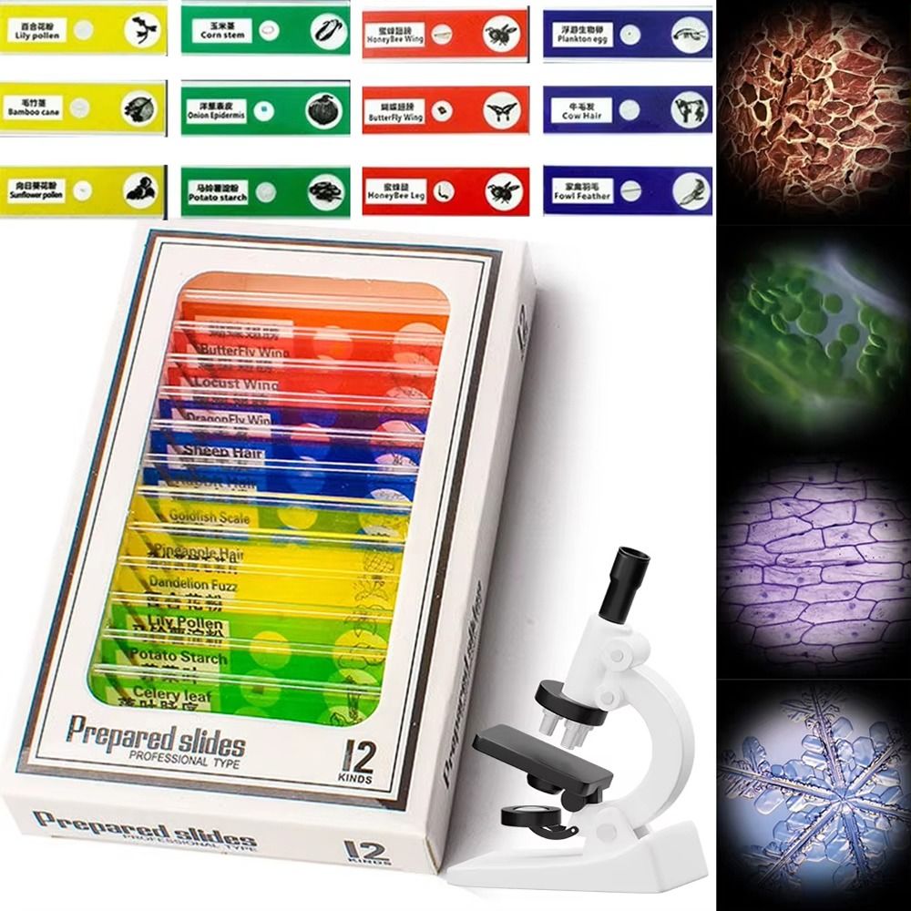 1 stuks 60-120X zakmicroscoop  - Outdoor Lighting Kits recensie en prijs