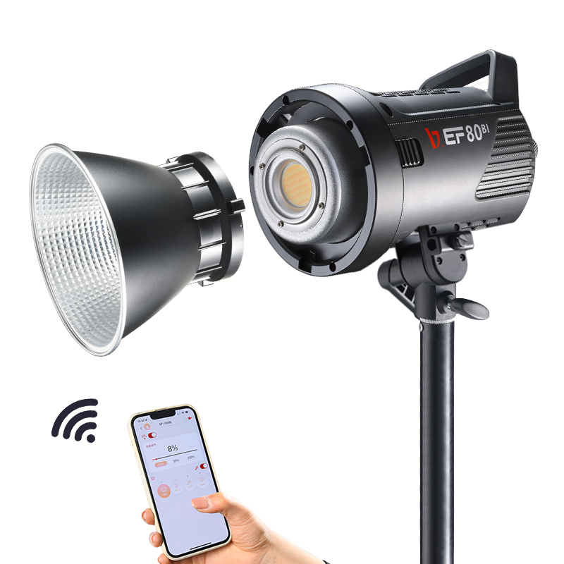 JINBEI EF-80Bi Handheld LED Vi - Outdoor Lighting Kits recensie en prijs